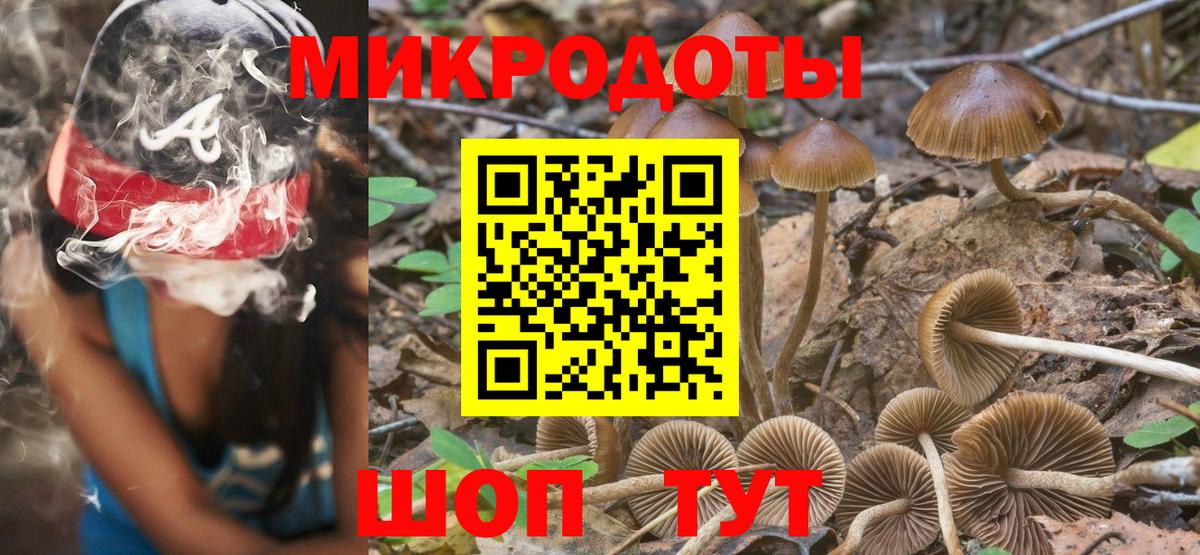 Псилоцибиновые грибы мицелий Сочи