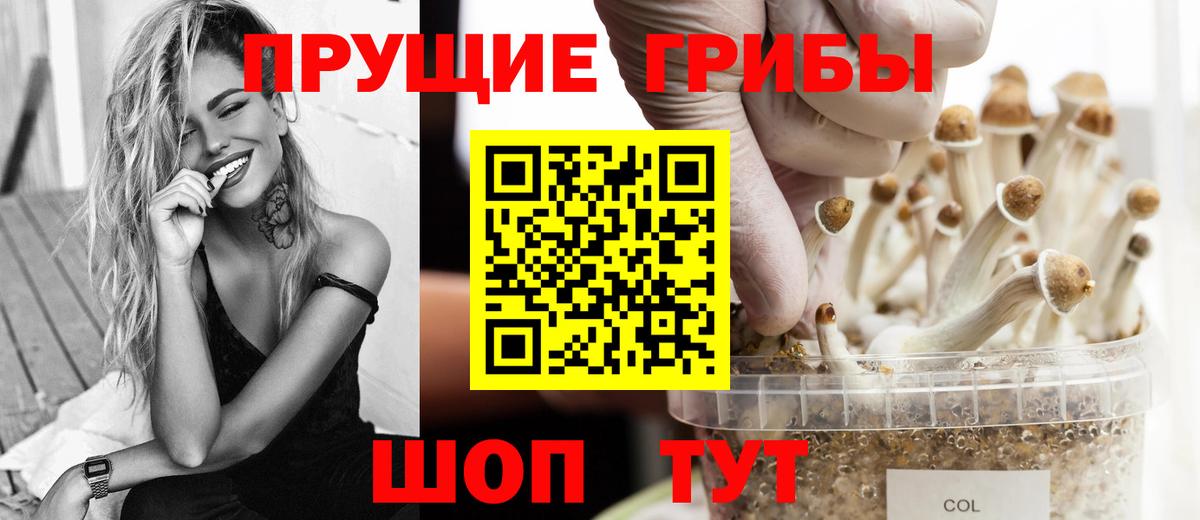 Псилоцибиновые грибы MAGIC MUSHROOMS  Вход с VPN  Сочи 